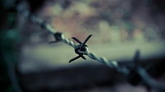 IPC, S. 84 – Where Exception under Sec.84 is claimed