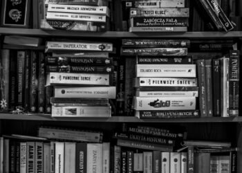 IBC S. 14, NIA S. 141 –  Moratorium – Proceedings against Directors/persons in management or control of the corporate debtor