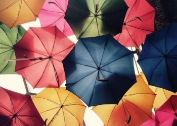 Insurance policy – Non communication of special terms  of policy – Repudiation set aside