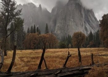 MVA – Criminal case  – Acquittal in a criminal case – Effect on claim petition